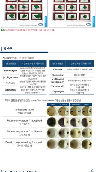 모두싹나라 김재호님의 작성글 사진