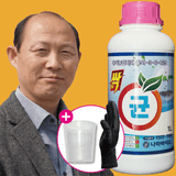 팜모닝 · 게시글 이미지