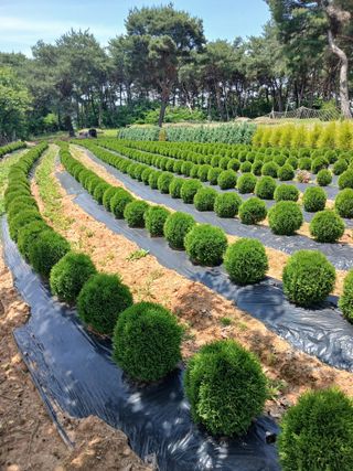 이동수님의 자유주제 · 자유게시판 작성글 사진
