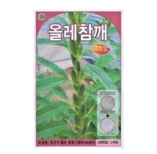 대산농사대장님의 참깨 · 자유게시판 작성글 사진