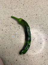 팜모닝 고추·병해충상담 게시글 이미지