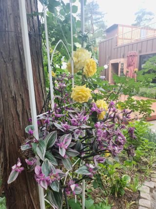 치유숲모이라양재순님의 자유주제 · 자유게시판 작성글 사진