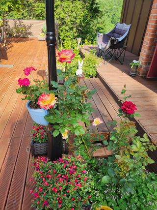 치유숲모이라양재순님의 자유주제 · 자유게시판 작성글 사진