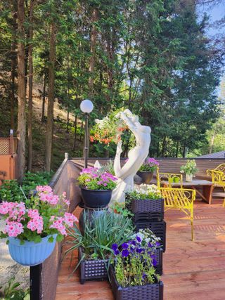 치유숲모이라양재순님의 자유주제 · 자유게시판 작성글 사진