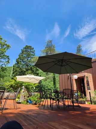 치유숲모이라양재순님의 자유주제 · 자유게시판 작성글 사진