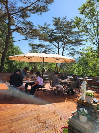 치유숲모이라양재순님의 자유주제 · 자유게시판 작성글 사진