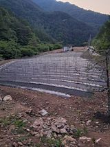 팜모닝 고추·영농일지 게시글 이미지