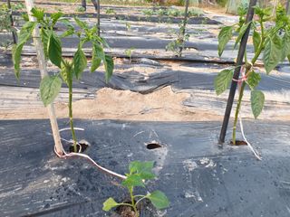 알 수 없음님의 자유주제 · 자유게시판 작성글 사진