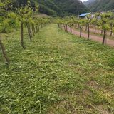 팜모닝 기타작물·영농일지 게시글 이미지