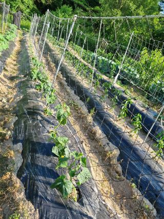 최점규님의 자유주제 · 자유게시판 작성글 사진