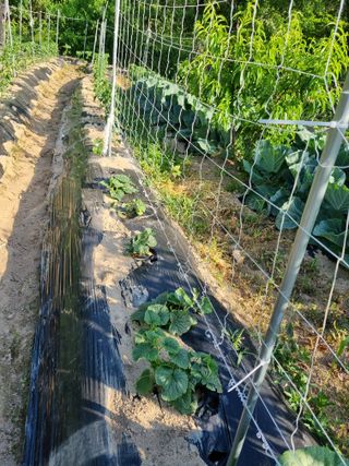 최점규님의 자유주제 · 자유게시판 작성글 사진