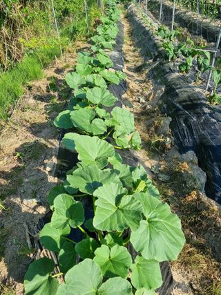 최점규님의 자유주제 · 자유게시판 작성글 사진