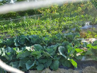 최점규님의 자유주제 · 자유게시판 작성글 사진