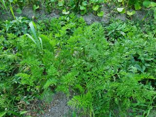 최점규님의 자유주제 · 자유게시판 작성글 사진