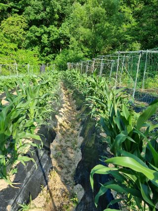 최점규님의 자유주제 · 자유게시판 작성글 사진