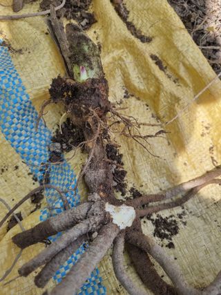 이호성님의 자유주제 · 자유게시판 작성글 사진