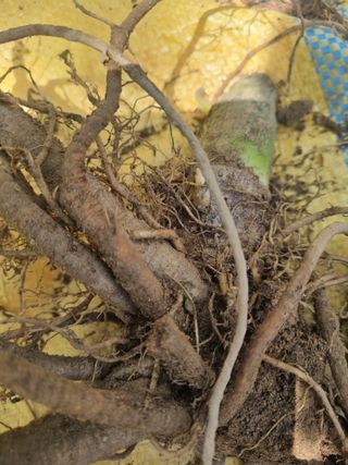 이호성님의 자유주제 · 자유게시판 작성글 사진