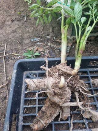 이호성님의 자유주제 · 자유게시판 작성글 사진