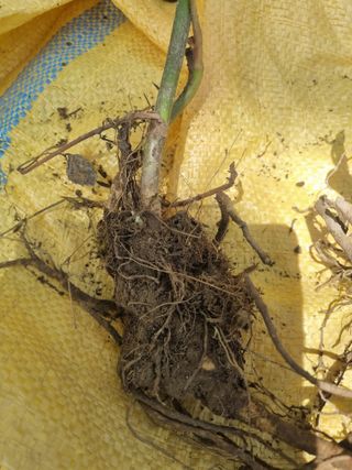 이호성님의 자유주제 · 자유게시판 작성글 사진