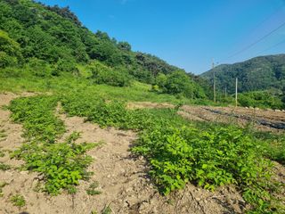 이호성님의 자유주제 · 자유게시판 작성글 사진