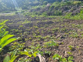 이호성님의 자유주제 · 자유게시판 작성글 사진