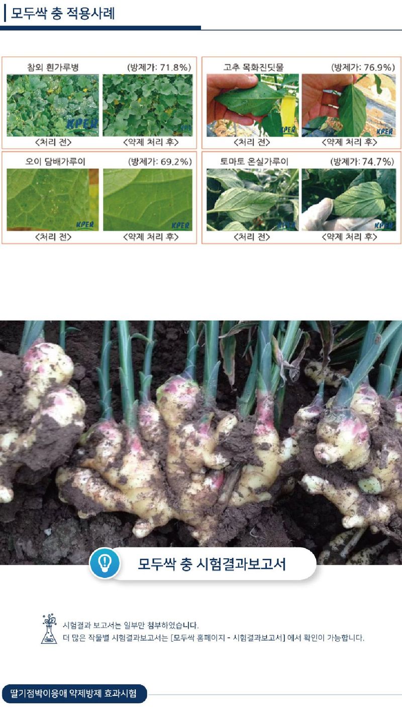 모두싹나라 김재호님의 장터 판매 상품 [모두싹 충 500ml] 첨부 사진