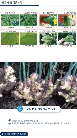 모두싹나라 김재호님의 작성글 사진