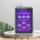 팜모닝 · 게시글 이미지