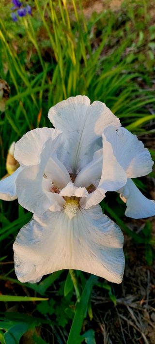 이광숙님의 자유주제 · 자유게시판 작성글 사진