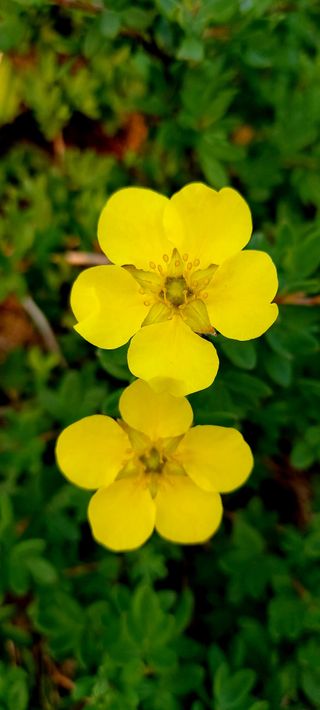 이광숙님의 자유주제 · 자유게시판 작성글 사진