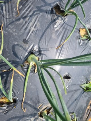 박한수님의 자유주제 · 자유게시판 작성글 사진