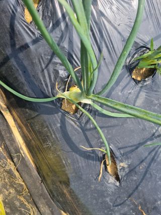 박한수님의 자유주제 · 자유게시판 작성글 사진