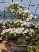 팜모닝 자유주제·자유게시판 게시글 이미지