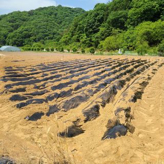 knlee님의 자유주제 · 자유게시판 작성글 사진