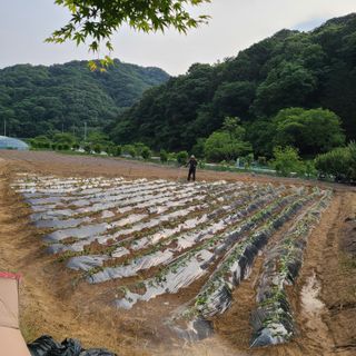 knlee님의 자유주제 · 자유게시판 작성글 사진