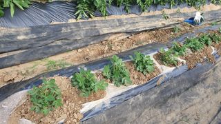 이서구님의 자유주제 · 자유게시판 작성글 사진