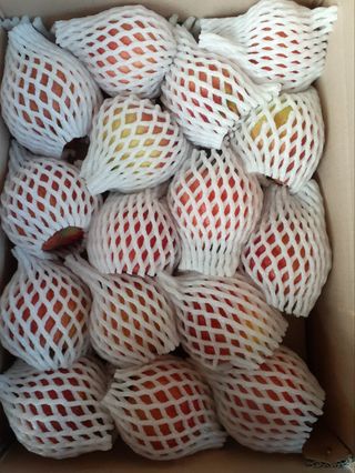 다나농원 이진우님의 작성글 사진