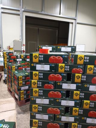 다나농원 이진우님의 작성글 사진