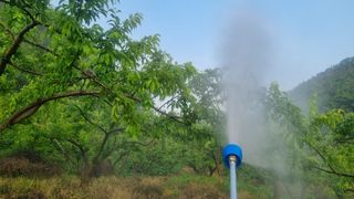 최영환님의 올해 방제 어떻게 하셨나요? · 참여글 작성글 사진