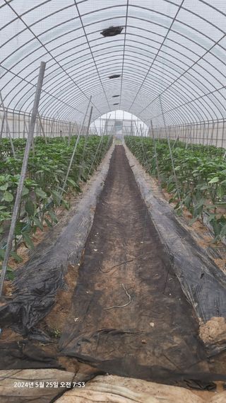 김종수님의 자유주제 · 자유게시판 작성글 사진