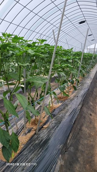 김종수님의 자유주제 · 자유게시판 작성글 사진