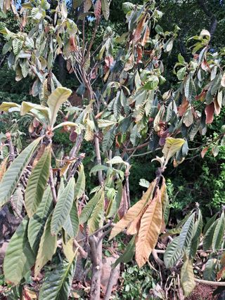 윤형곤님의 자유주제 · 자유게시판 작성글 사진