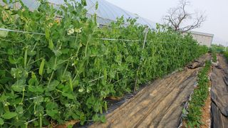 이서구님의 자유주제 · 자유게시판 작성글 사진