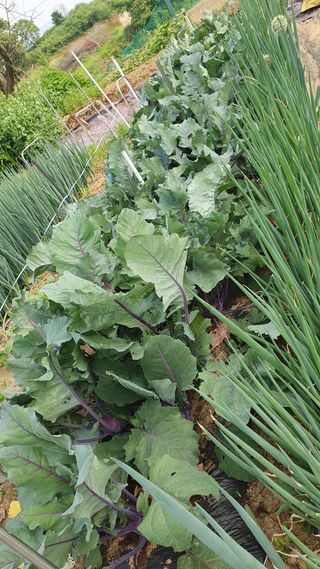 이서구님의 자유주제 · 자유게시판 작성글 사진