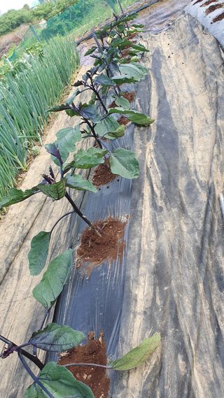 이서구님의 자유주제 · 자유게시판 작성글 사진