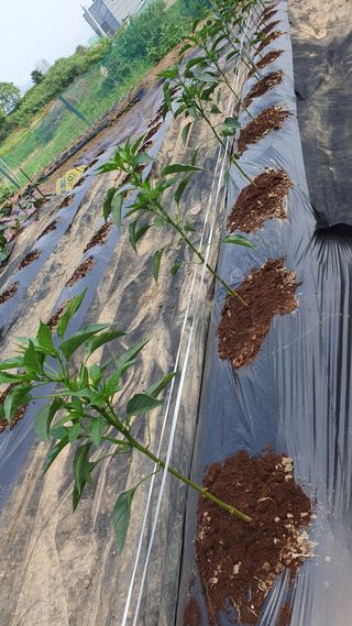 이서구님의 자유주제 · 자유게시판 작성글 사진