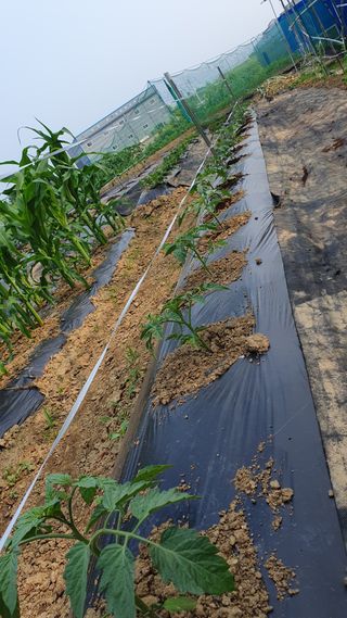 이서구님의 자유주제 · 자유게시판 작성글 사진