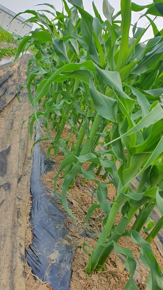 이서구님의 자유주제 · 자유게시판 작성글 사진