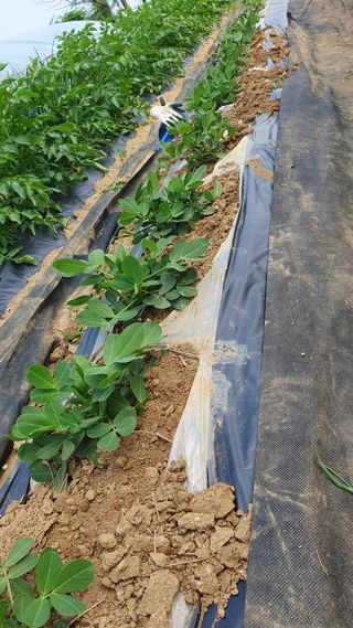 이서구님의 자유주제 · 자유게시판 작성글 사진