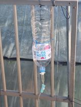 팜모닝 자유주제·자유게시판 게시글 이미지